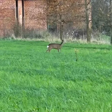 Les Pommiers Sauvages